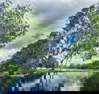 Gold Coast Regional Botanic Gardens - Tourism TAS
