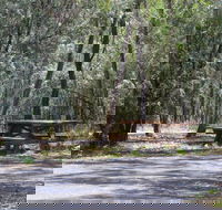 Goonoowigall State Conservation Area - Tourism TAS
