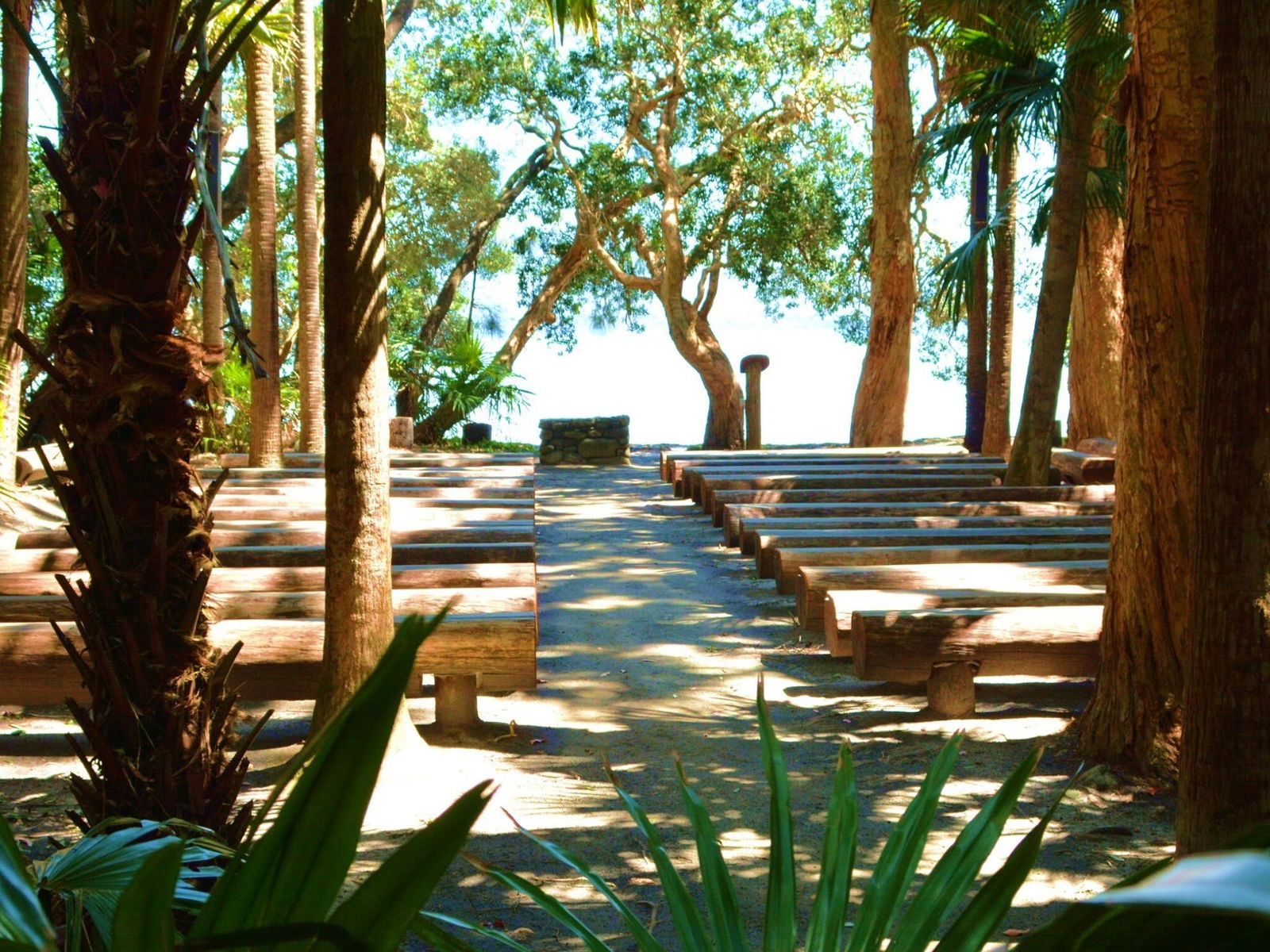 Tiona NSW Tourism TAS