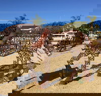 Gundersen Reserve - Tourism TAS