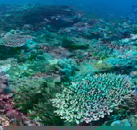 Hanging Rock Dive Site - Tourism TAS
