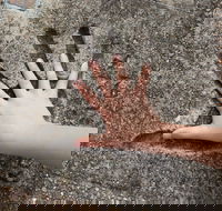 Hands of Fame Park - Hobart Tourism