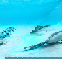 Jurien Bay - Tourism TAS