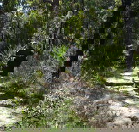 Karloo Walking Track - Tourism TAS