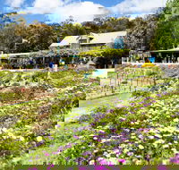 Kate's Berry Farm - Hobart Tourism