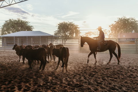 Katherine Outback Experience - Horse Riding Experience - Tourism TAS 2