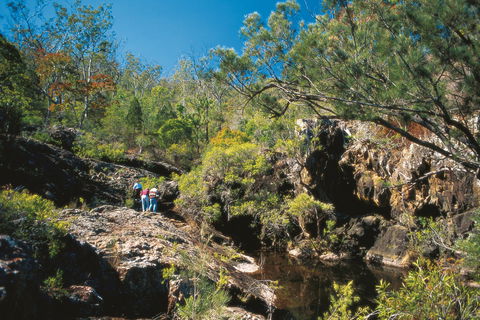 Kroombit Tops National Park - Tourism TAS 0