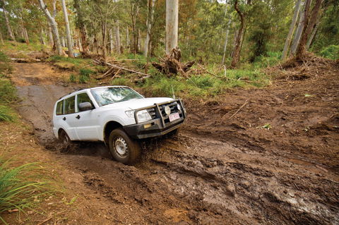 Kroombit Tops National Park - Tourism TAS 1