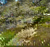 Kurth Kiln Regional Park - Tourism TAS