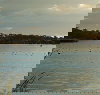 Lake Inverell Reserve - Tourism TAS