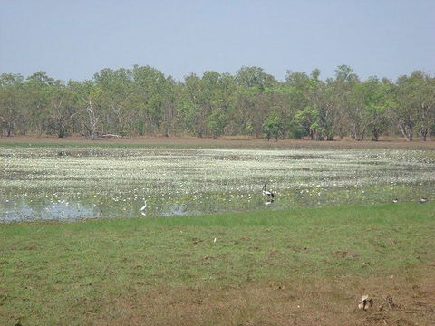 Leaning Tree Lagoon Nature Park - Tourism TAS 1