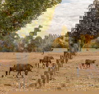 Lemington - Tourism TAS