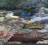 Liffey Falls Reserve - Tourism TAS