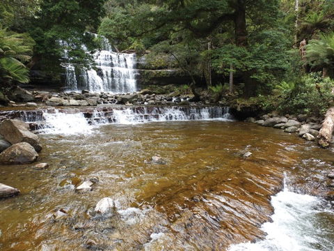 Liffey Falls Reserve - Hobart Tourism 1