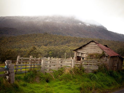 Liffey Falls Reserve - Hobart Tourism 2