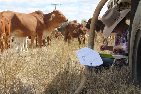 Longreach School Of Distance Education - Tourism TAS 2