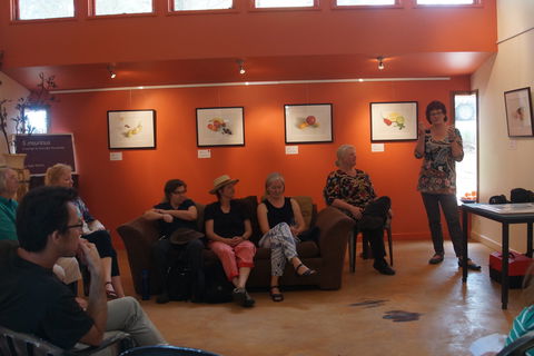 Magpie Springs Gallery - Tourism TAS 1
