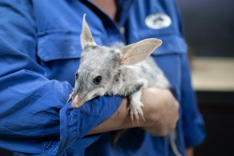 Matilda Way - Tourism TAS 2