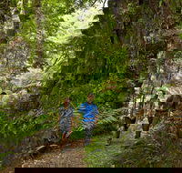 Melba Gully - Hobart Tourism