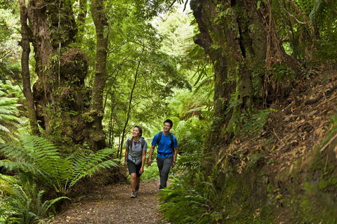 Melba Gully - Hobart Tourism 0