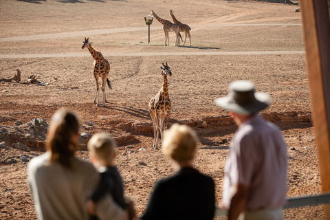 Monarto Safari Park - Tourism TAS 0