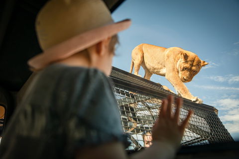 Monarto Safari Park - Tourism TAS 2
