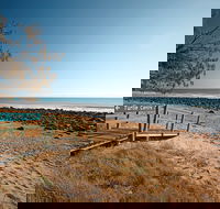 Mon Repos Beach - Tourism TAS