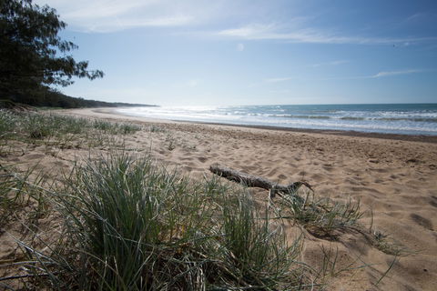 Mon Repos Beach - Tourism TAS 1
