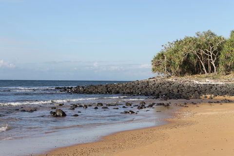 Mon Repos Beach - Tourism TAS 2