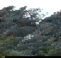 Mount Yarrowyck Nature Reserve - Hobart Tourism