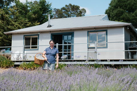 Nannup Lavender Farm - Tourism TAS 1
