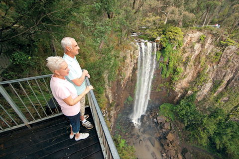Queen Mary Falls Circuit, Main Range National Park - Tourism TAS 1