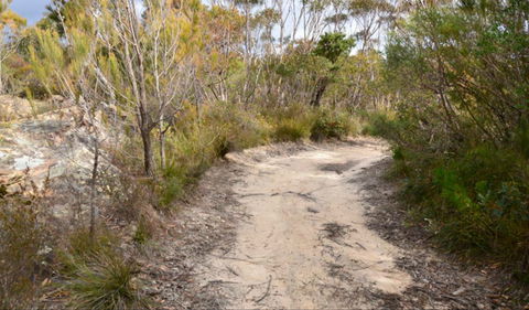 Red Rocks Trig Walking Track - Tourism TAS 0