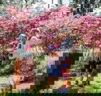 Sculpture at Petana - Hobart Tourism