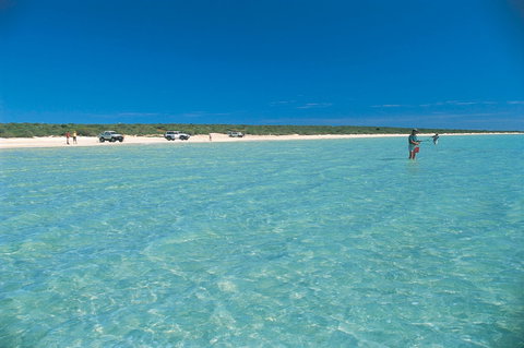 Shark Bay World Heritage Drive - Tourism TAS 1