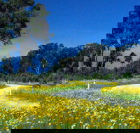 Shearer's Way - Tourism TAS