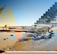 Shelly Beach - Tourism TAS