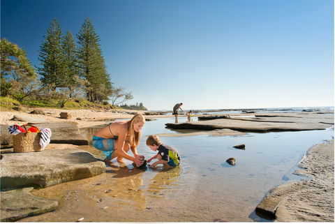 Shelly Beach - Tourism TAS 0