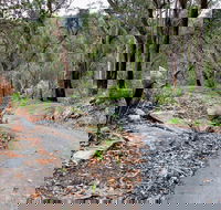Stepping Stone Crossing to Cascades Trail - Hobart Tourism