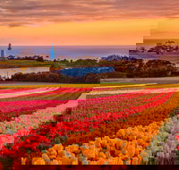 Table Cape - Tourism TAS