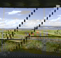 Tamar Island Wetlands Centre and Reserve - Hobart Tourism