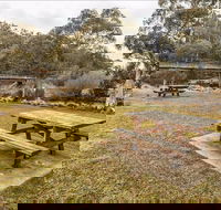 Thredbo River picnic area - Hobart Tourism