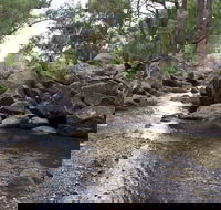 Threlfall Walking Track - Hobart Tourism