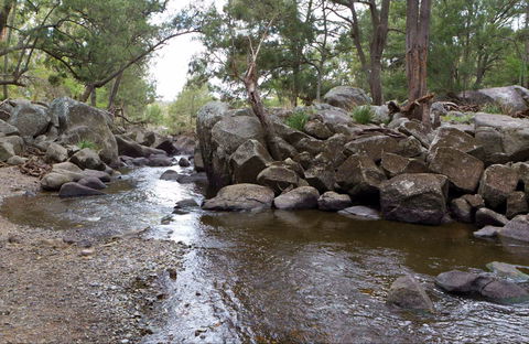 Threlfall Walking Track - Hobart Tourism 0