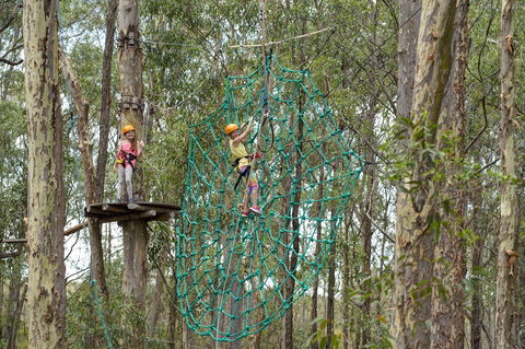 TreeTops Newcastle - Hobart Tourism 0