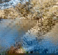 Wandandian Creek picnic area - Tourism TAS