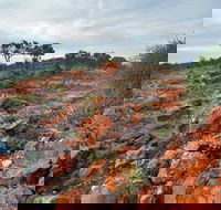 Western Ridge Walk - Hobart Tourism