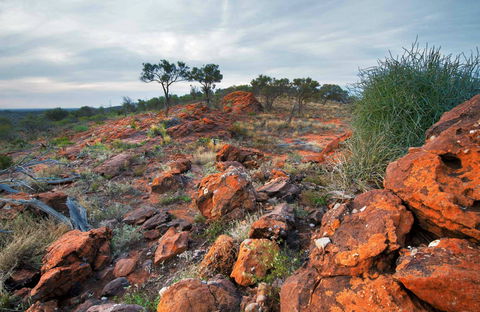 Western Ridge Walk - Hobart Tourism 0