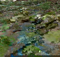 Whian Whian State Conservation Area - Hobart Tourism