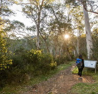 Yarrangobilly Caves  River walk